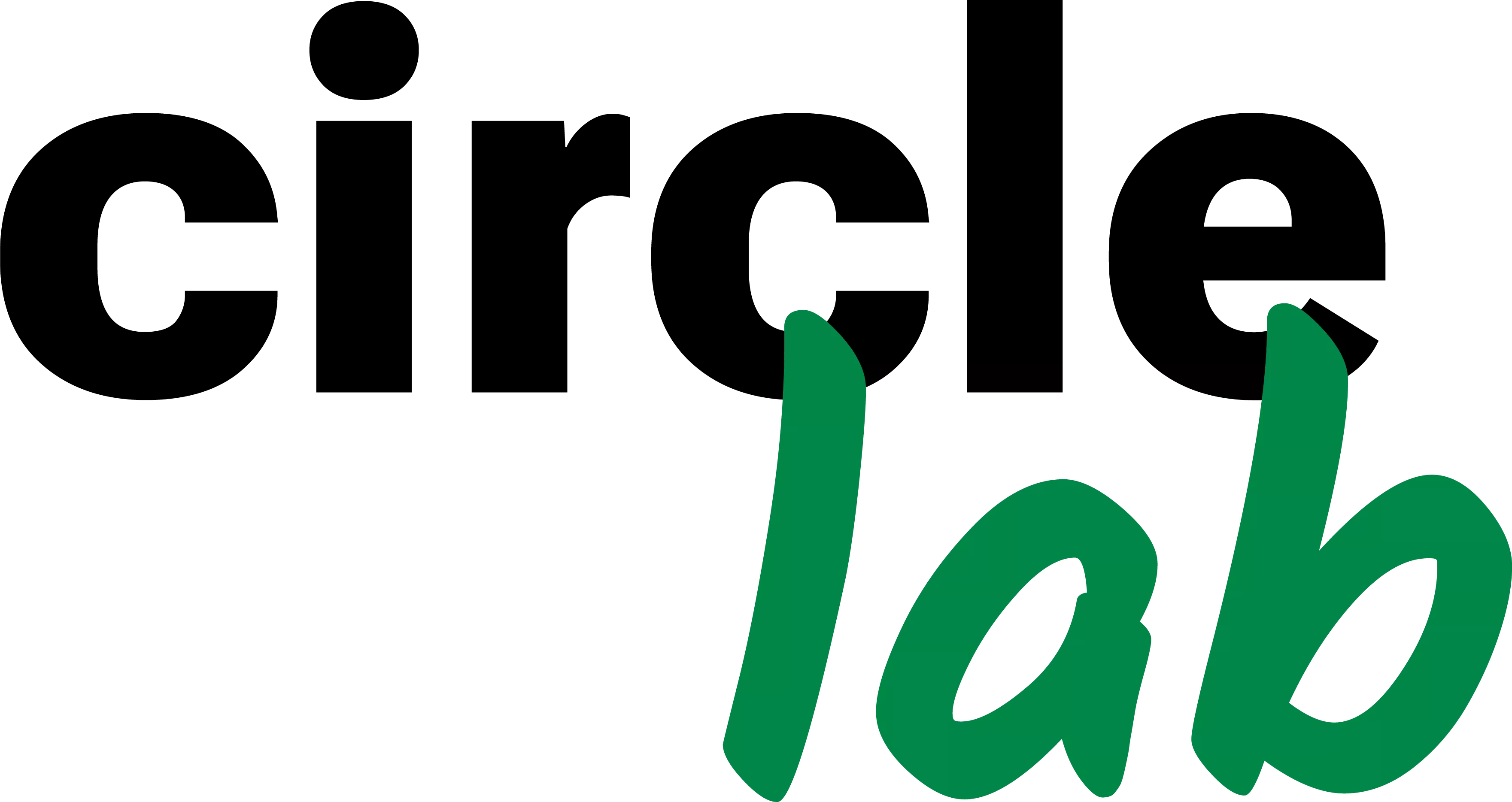logo van CIrcle lab