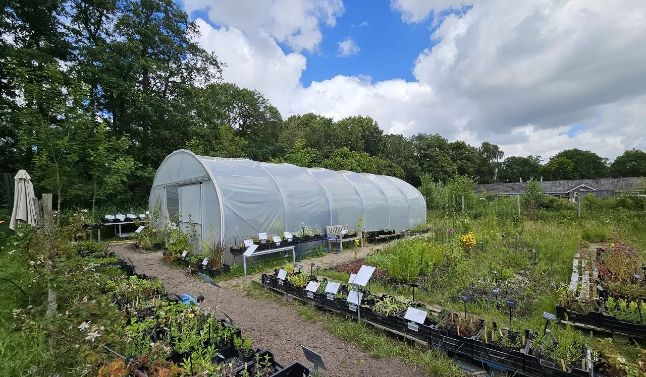 een kweekkas in een moestuinachtige omgeving