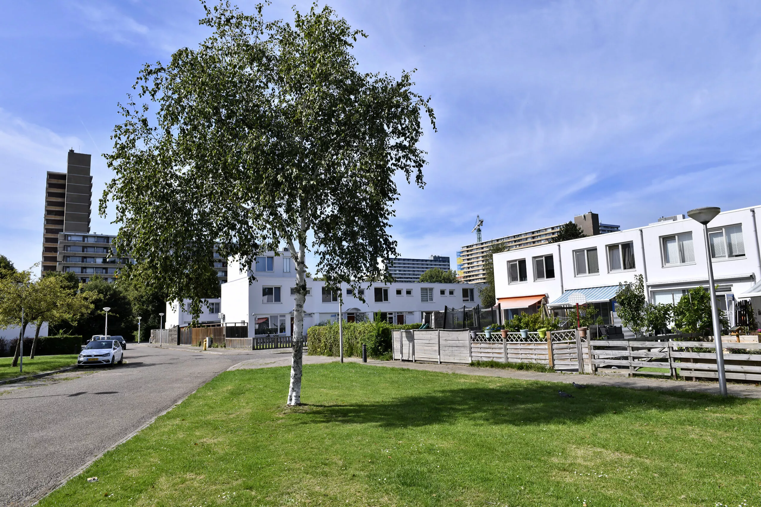 witte woningen langs een grasveld met boom