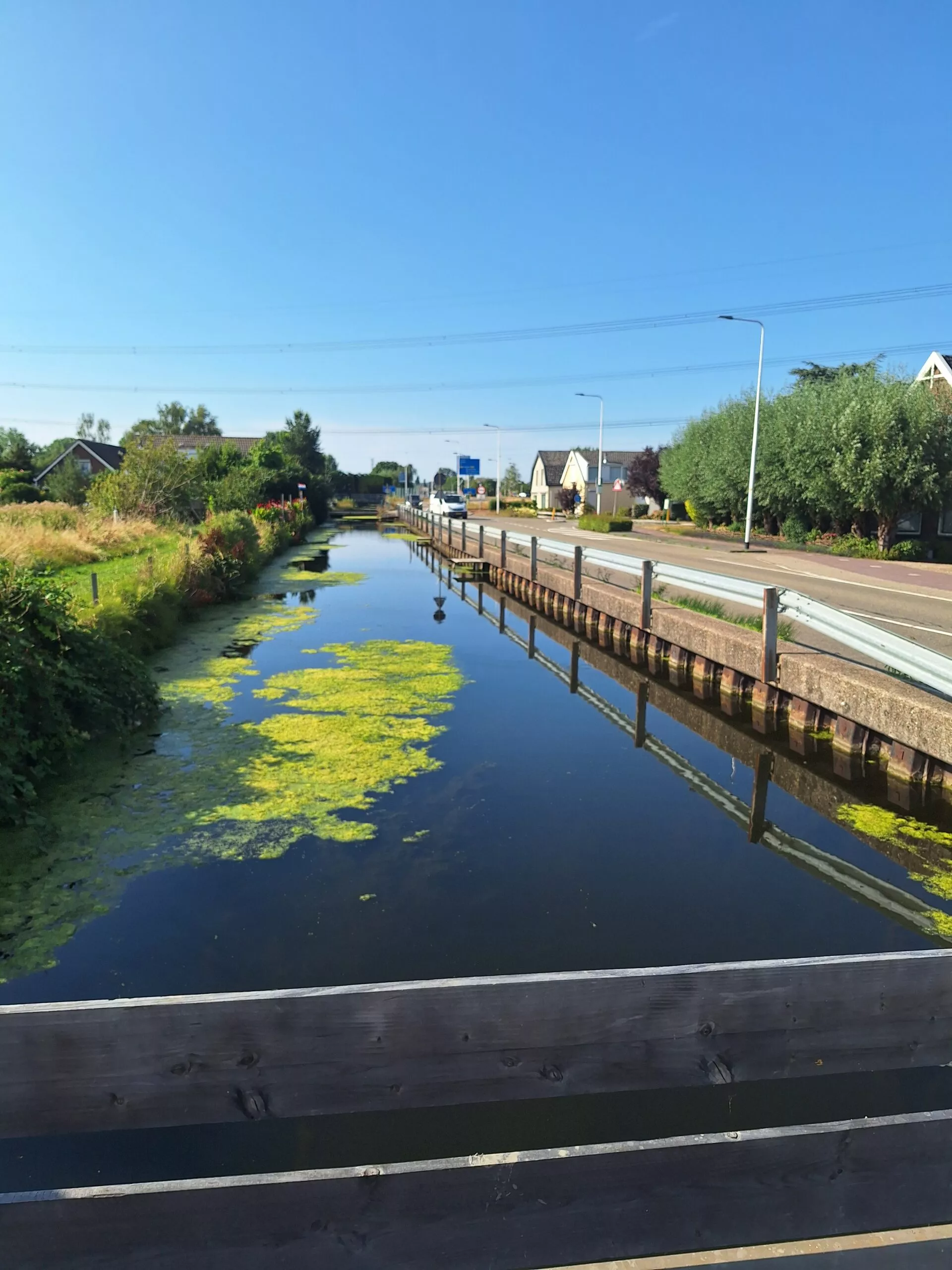 Een smalle sloot met helder water en groen kroos, met links een natuurlijk groen talud en rechts een verharde weg met een houten beschoeiing. Op de achtergrond staan bomen en huizen onder een blauwe lucht.