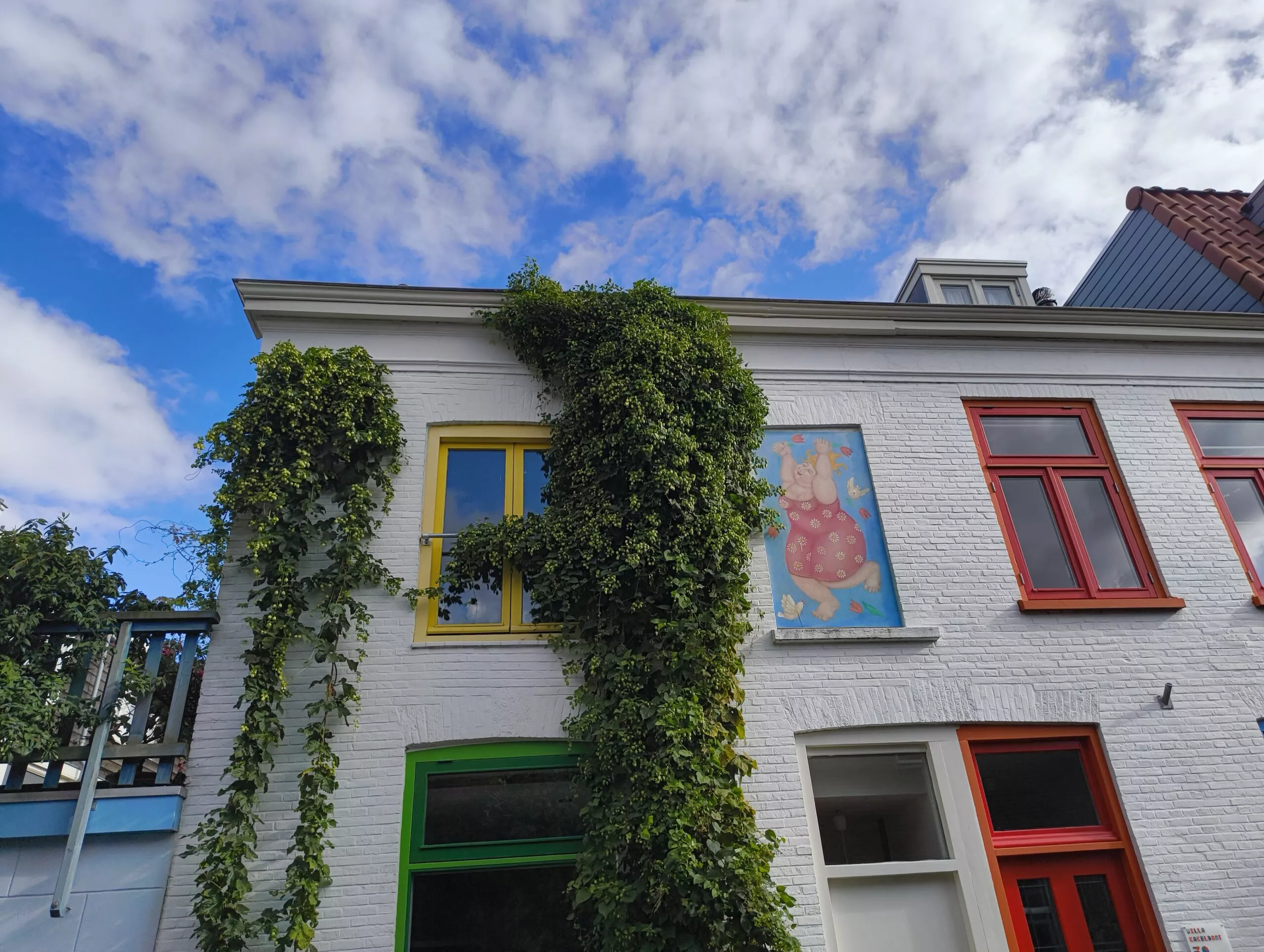 Witgeschilderde woning met een dichte groene klimplant en ramen in opvallend groene, gele en rode kozijnen.